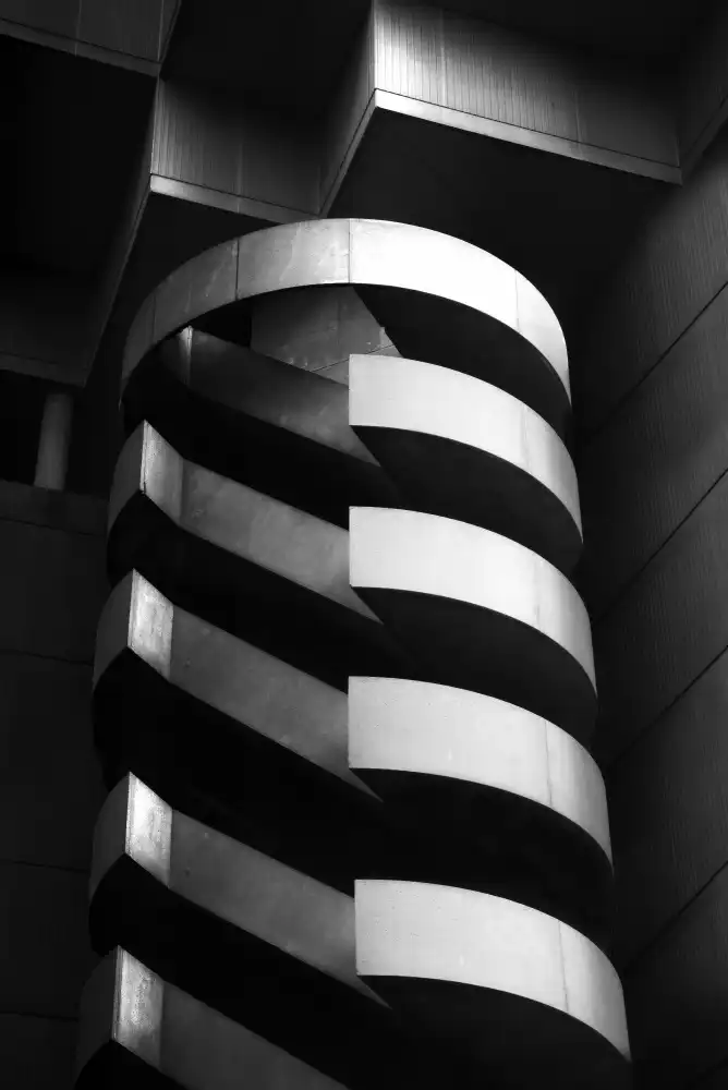 Catherine, W.: The Curves