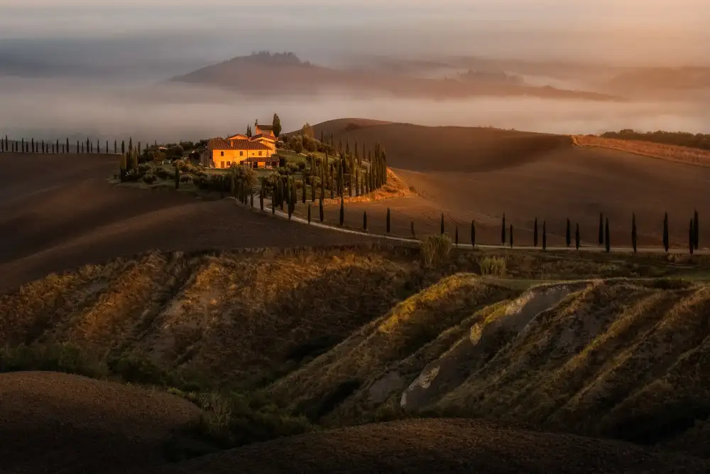 Rojek, Tomasz: House on the hill