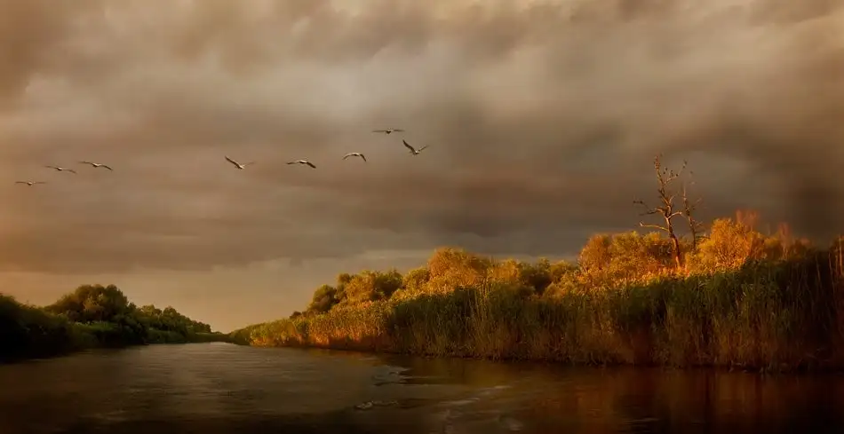 Bosogea-Tudor, Ileana: Danube Delta