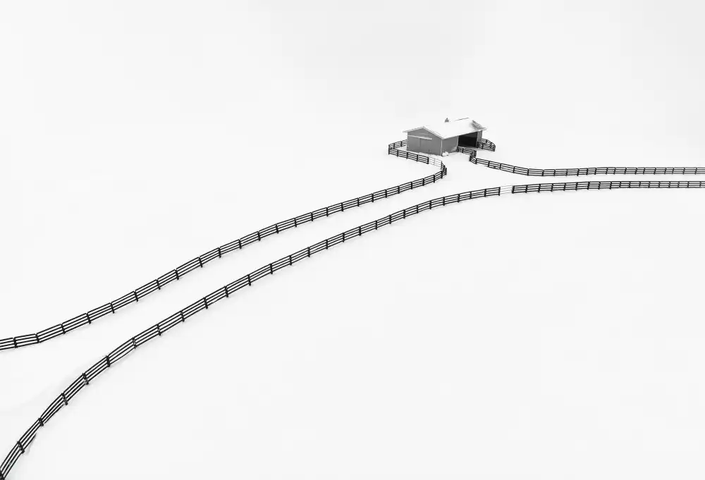 Zhao, Emma: Maison en laisse