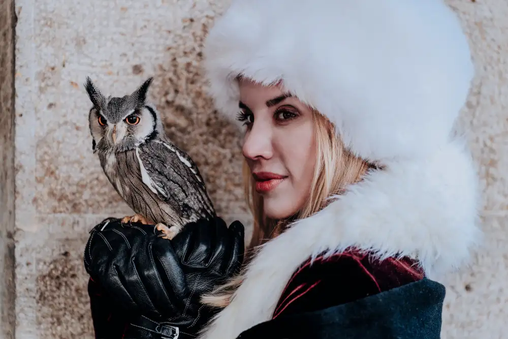 Grimm, Markus: Beauty and owl