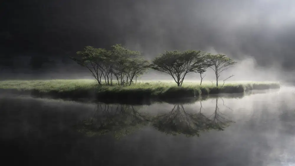 Nagase, Akira: Fantasy Symbol Tree