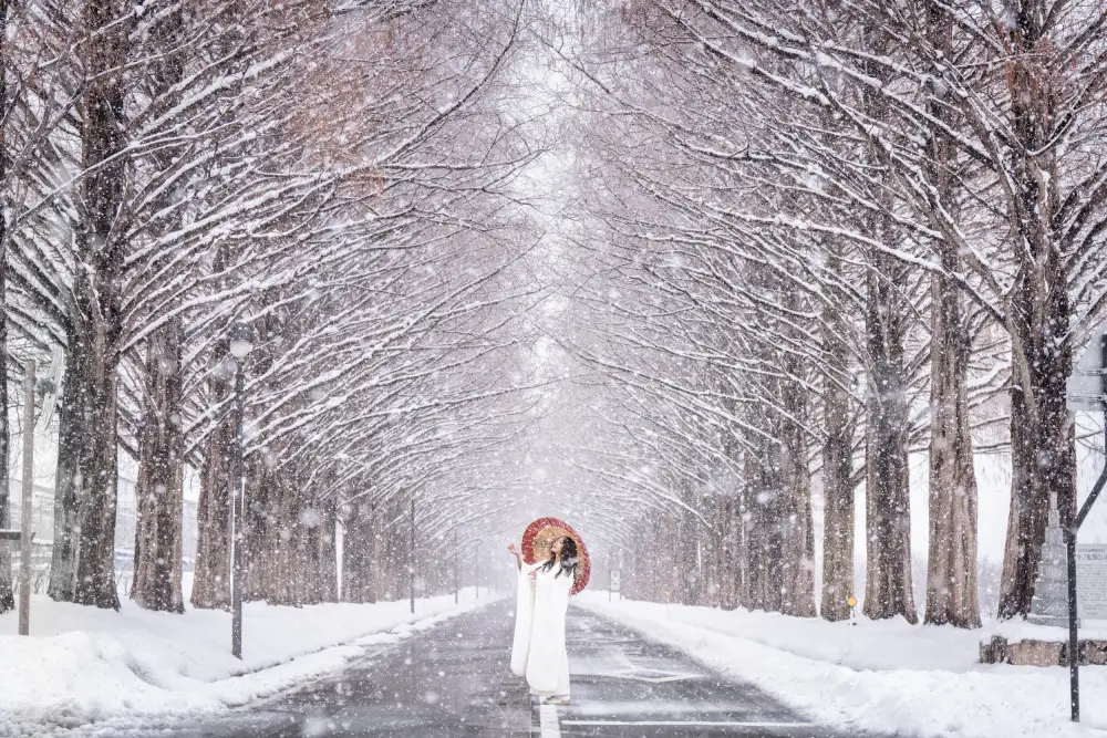 Kimura, Yoshihiro: Snow street