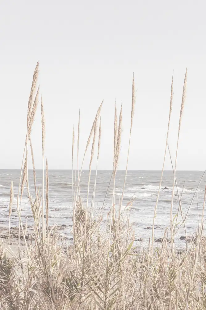 Studio, Pictufy: Plage_Vass_001