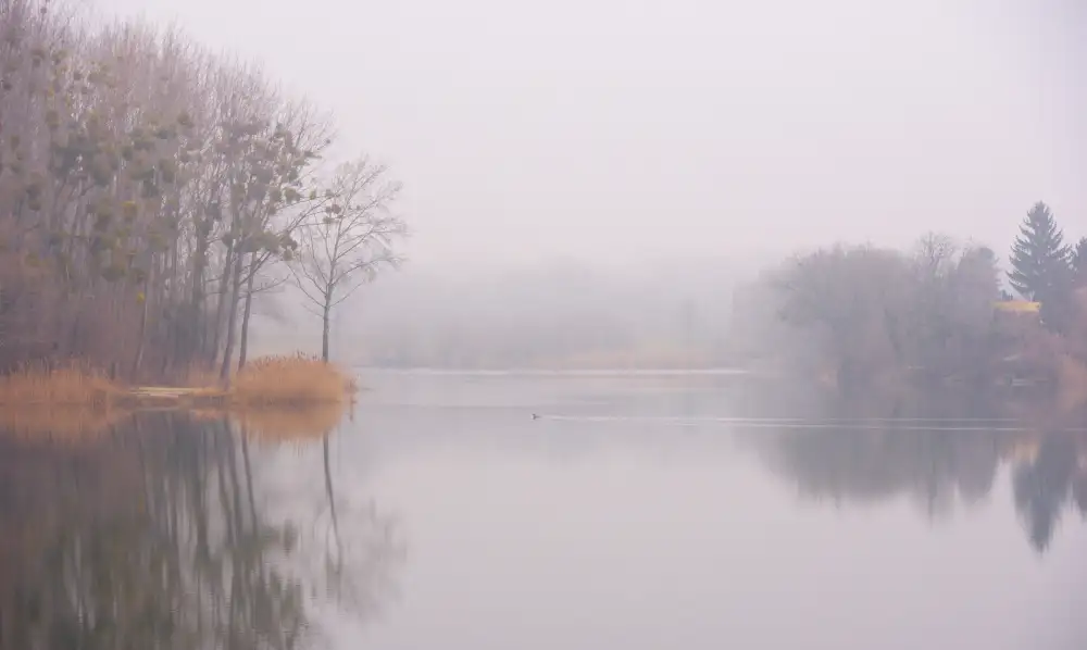 Uhrin, Milan: Misty morning