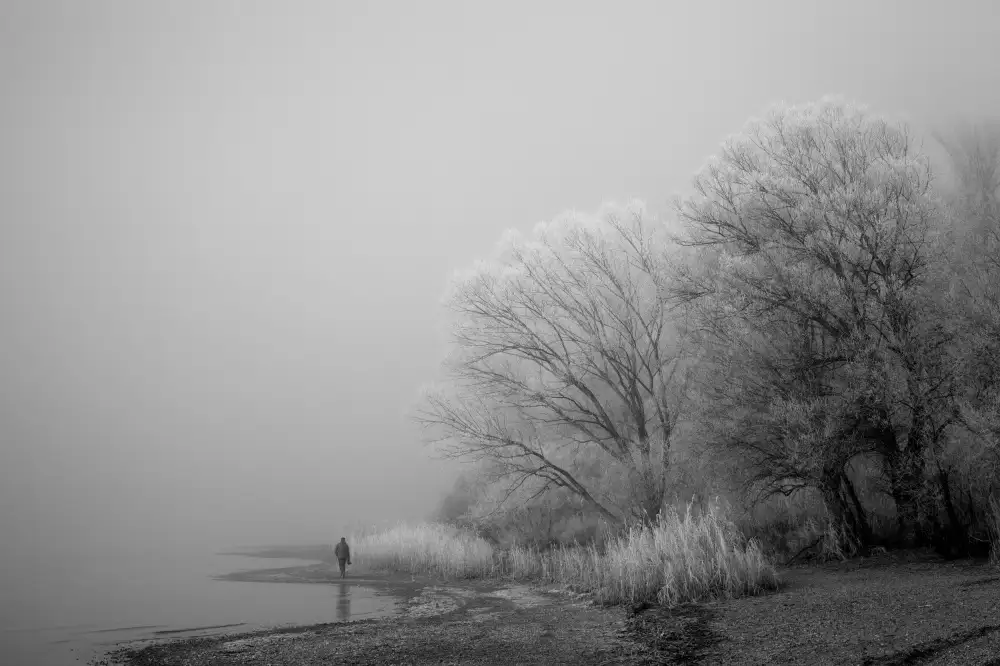 Rank, Peter Hans: A foggy day at the lake