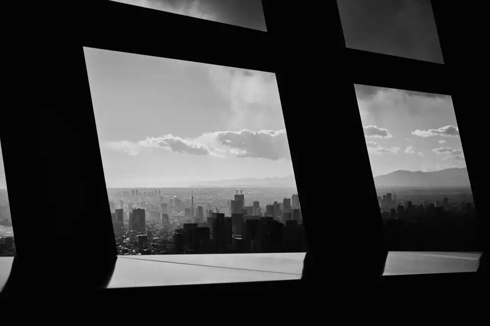 Suzuki, Jun: City in the fence