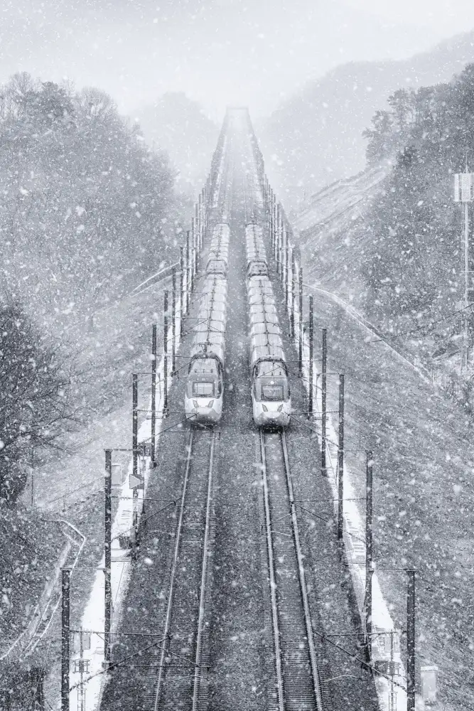 Seo, Tiger: Snowpiercer