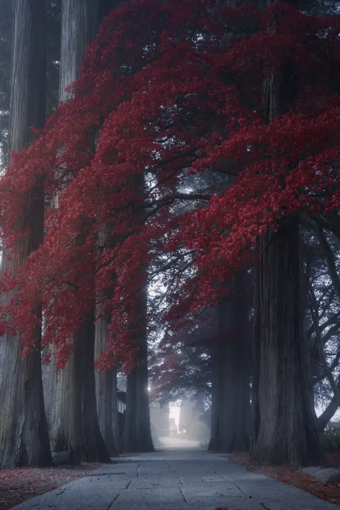 Sugita, Masaki: Chouenji Temple