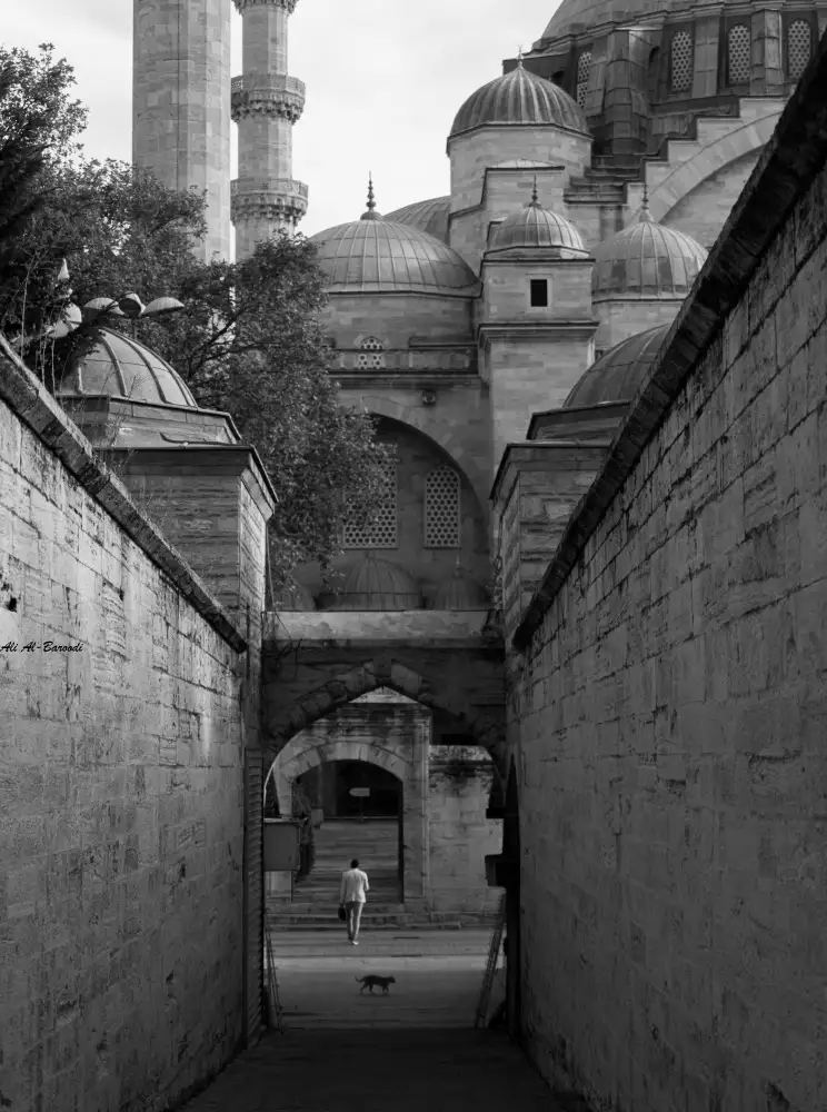 Alibaroodi: Divine Road