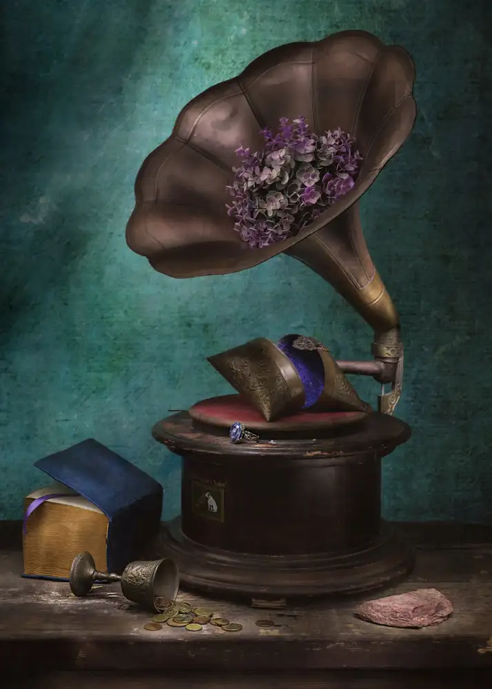 Kulinsky, Vadim: The Life of a Gramophone