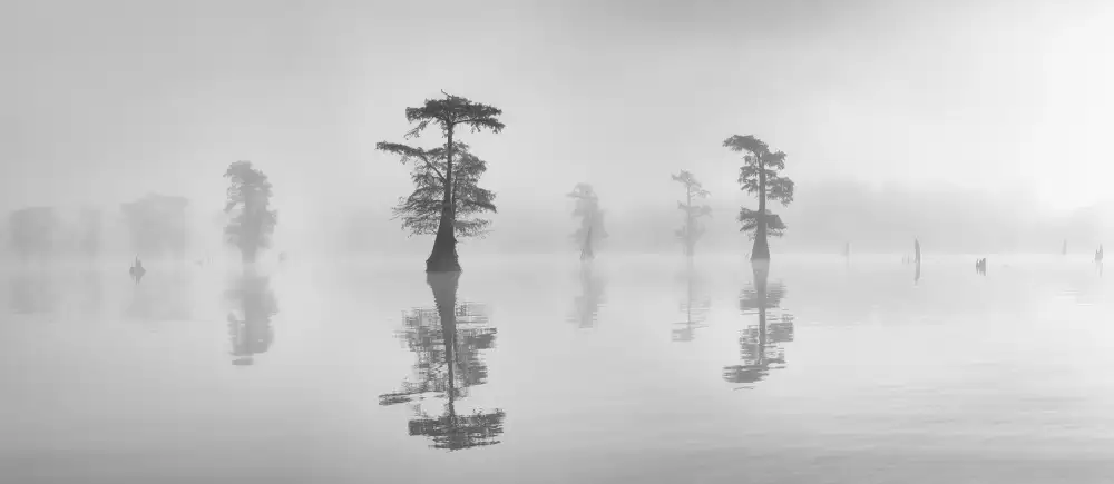 Ning, Aidong: Rhythm in the fog