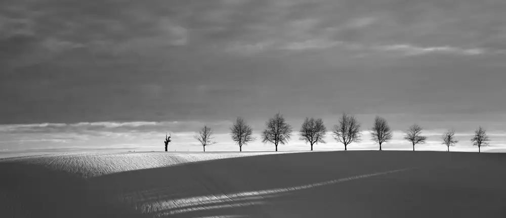Rank, Peter Hans: dall'ombra alla luce