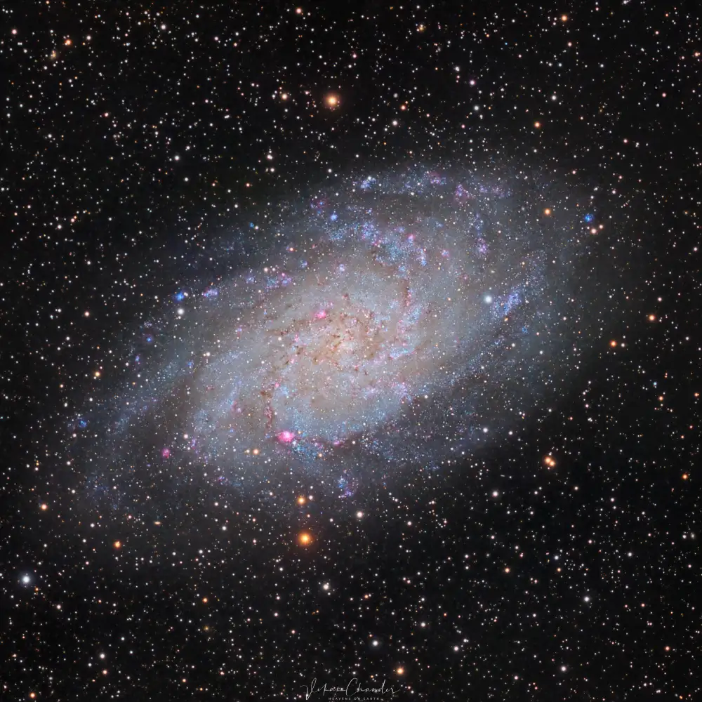 Chander, Vikas: Triangulum Galaxy