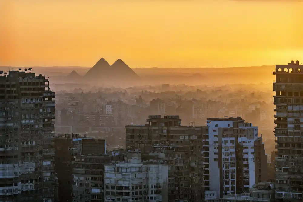 Shawki, Mohamed: 2 Cairo