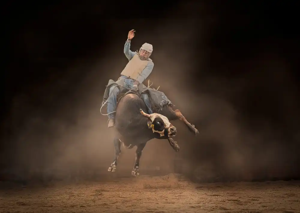 little7: Bull Riding #4