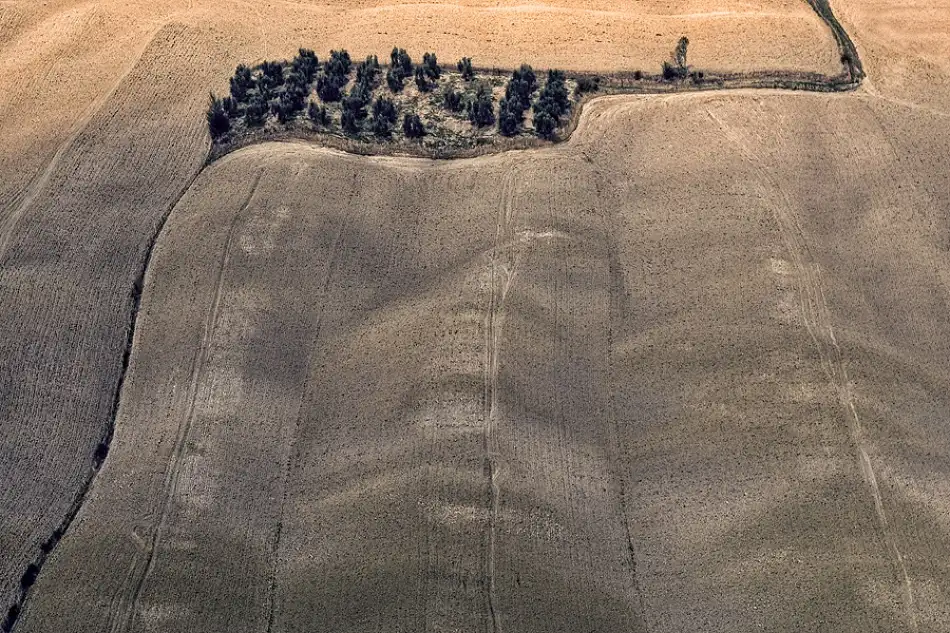 Kravanja, Jure: Oasis