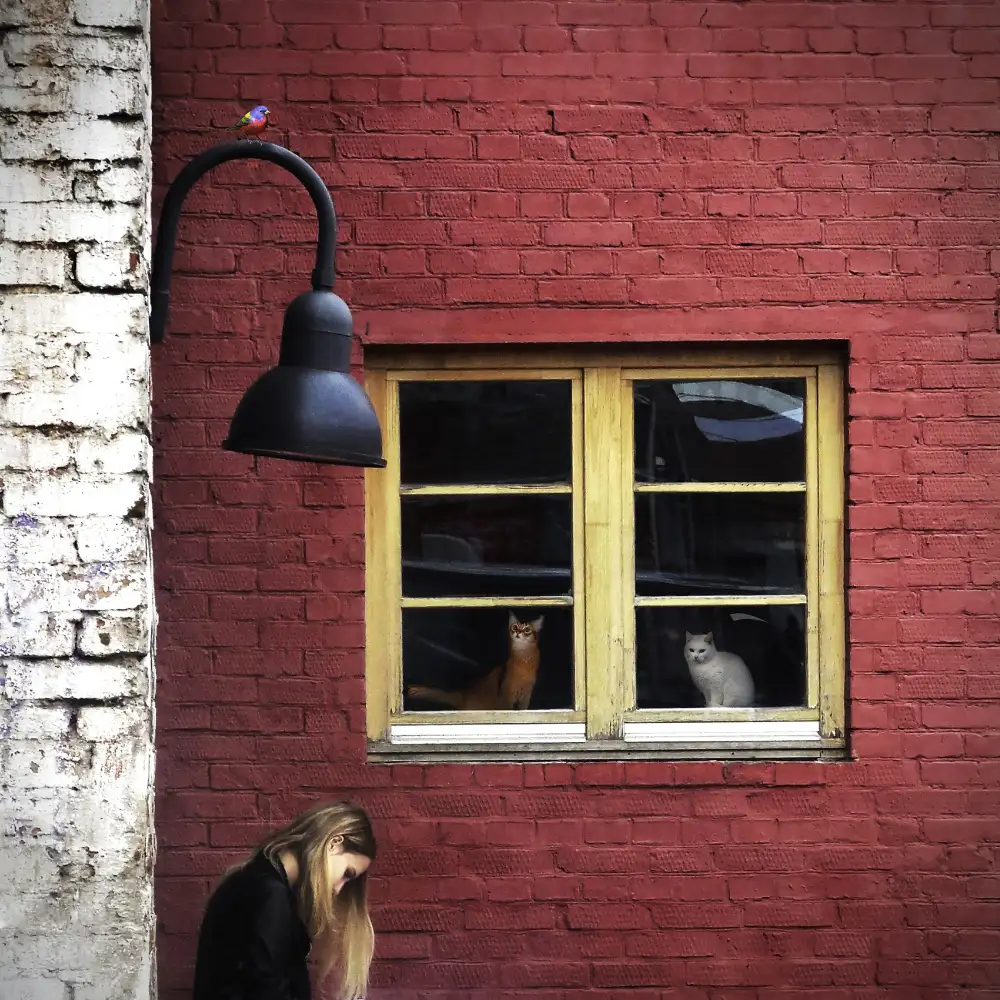 Novichikhin, Evgenii: You are being watched!