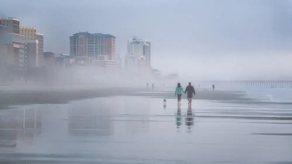 Yang, Jianping: Beach Walking