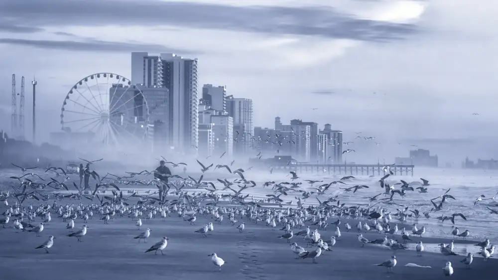 Yang, Jianping: The Man and the Birds