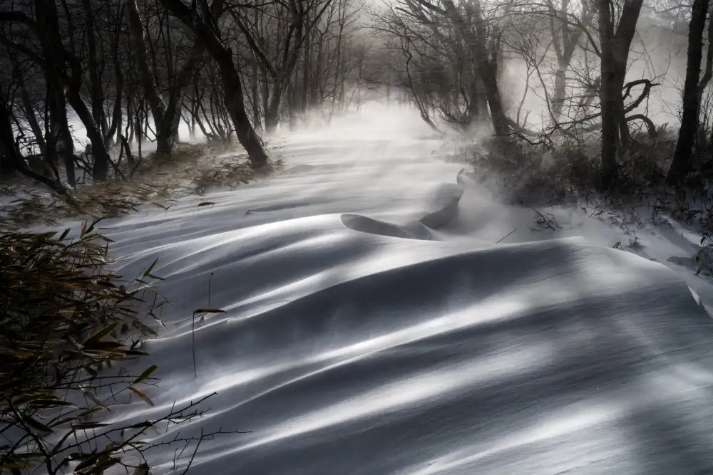 Nagase, Akira: a snow pattern that shines out
