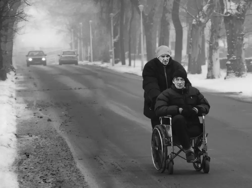 Gabor, Nicoleta: zimní cestující