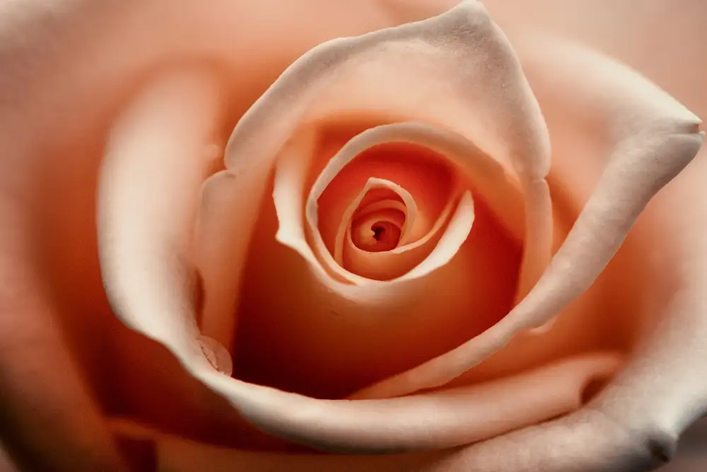 Pratikto, Lita: Just for you