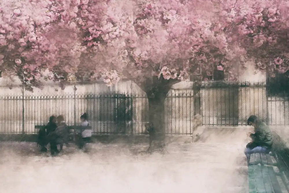 Schleicher-Schwarz, Roswitha: dolce primavera