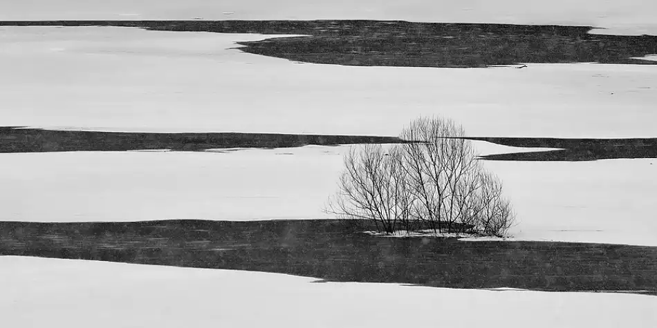 Kravanja, Jure: Noir sur blanc
