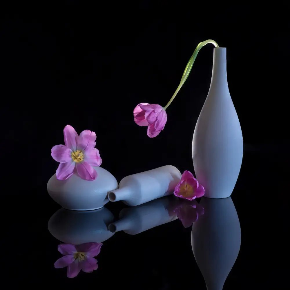 Sheng, Alice: still life 14
