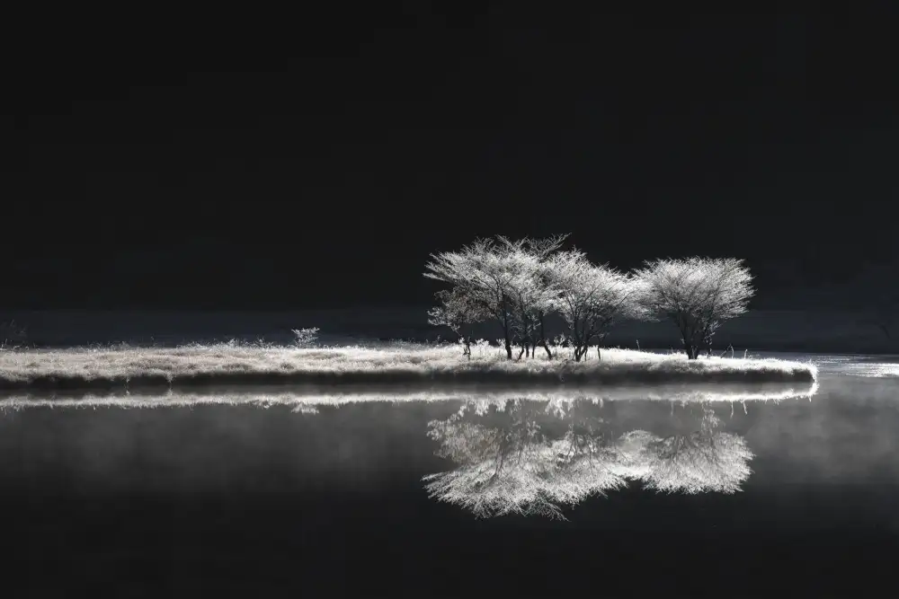 Nagase, Akira: The colorless world