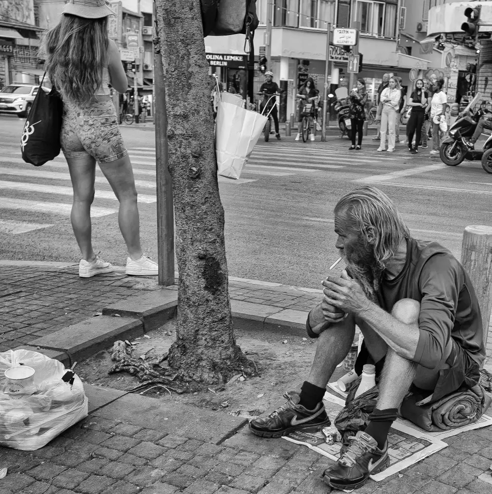 zyfeller: Untitled -