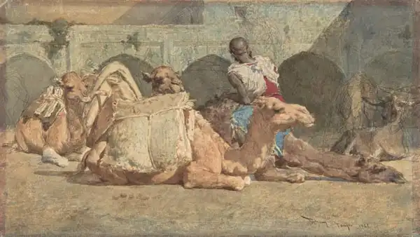 Marsal i Fortuny, Marià: Chameaux reposant, tangers