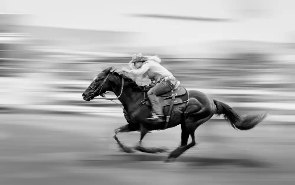little7: Horse Racing