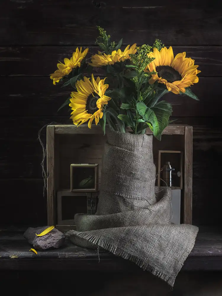Kulinsky, Vadim: Still-life with sunflowers 1