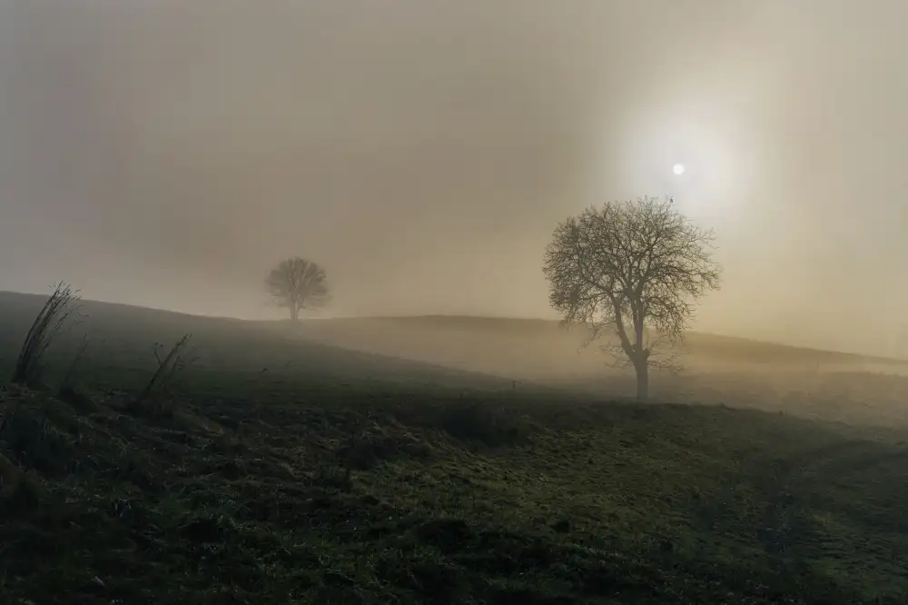 Helden, van Elisabeth: Walk with me