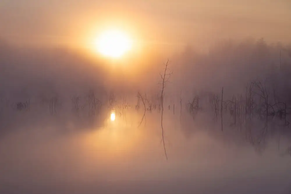 Maier, Norbert: Lever du soleil sur les marais