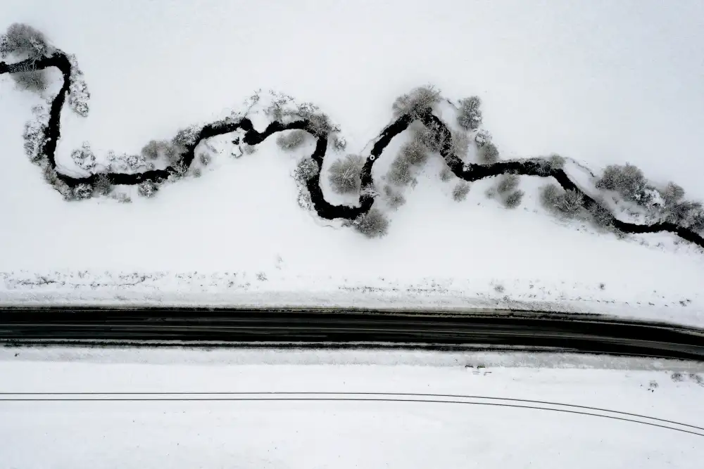 Serdaldeniz: Snake