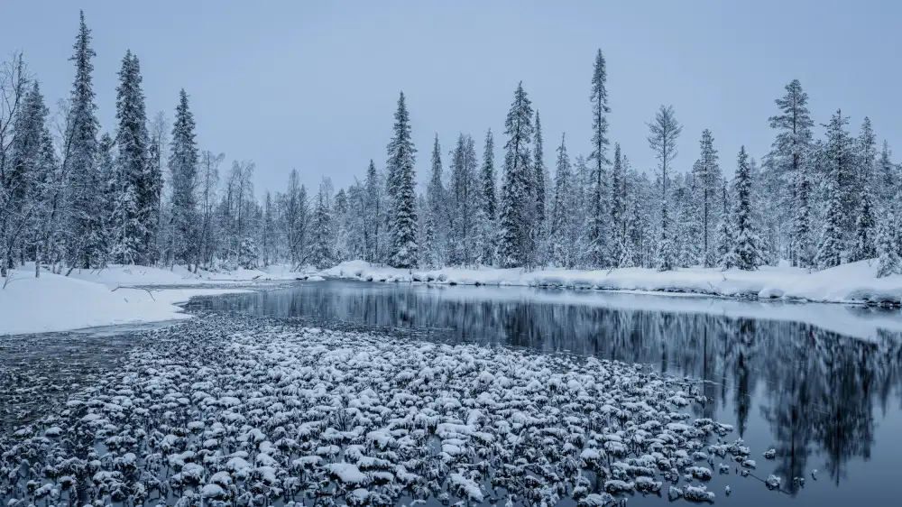 Rosenfeld, Haim: Winter calmness