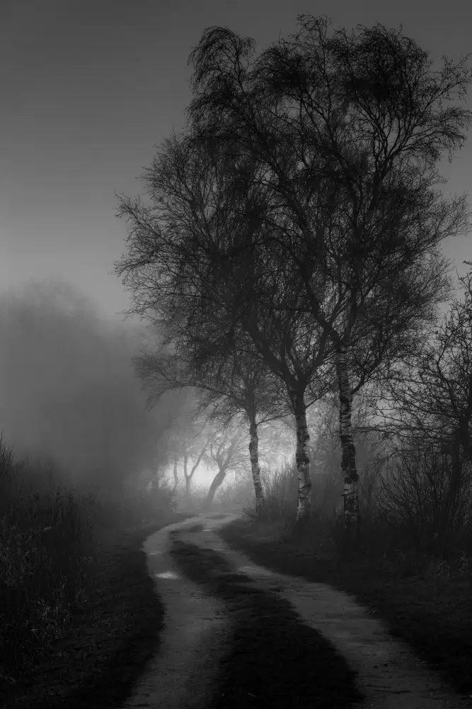 Klesse, Andreas: Brouillard