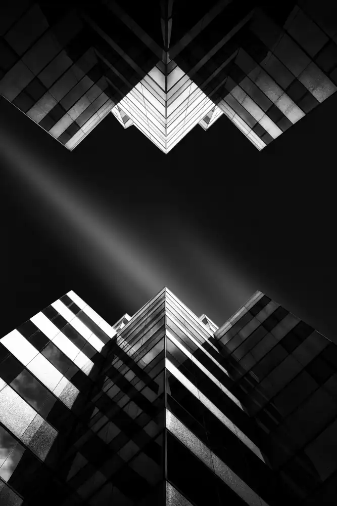 Catherine, W.: Look Up