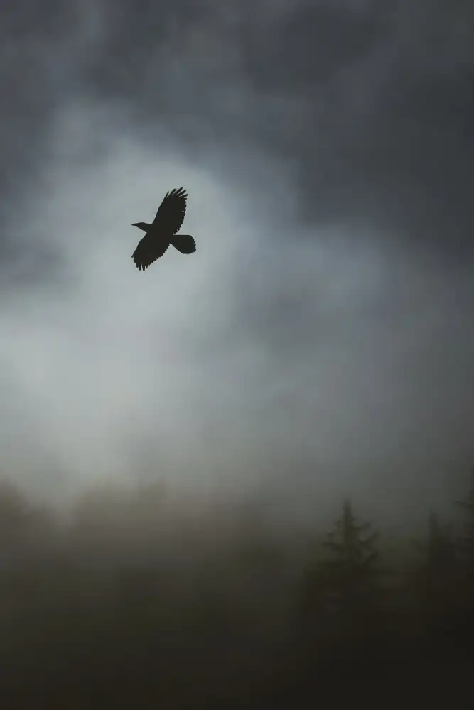 Mossholder, Tim: Im Flug