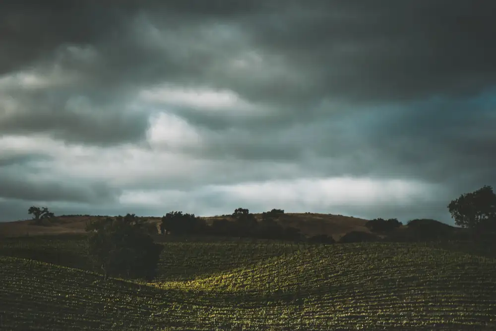 Mossholder, Tim: Hillside and Clouds