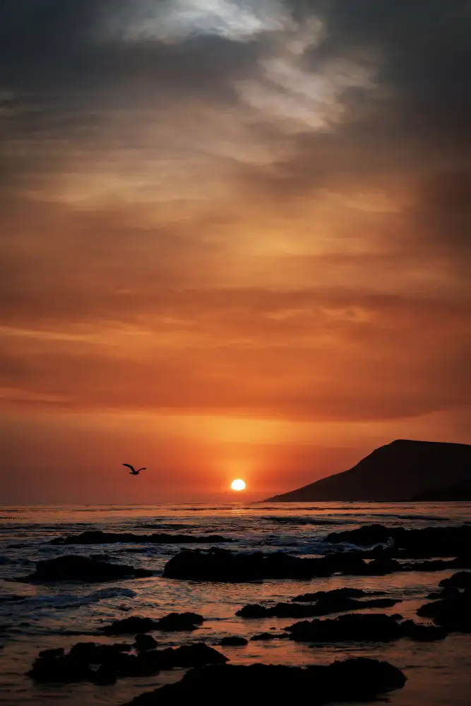 Mossholder, Tim: Orange Sunset