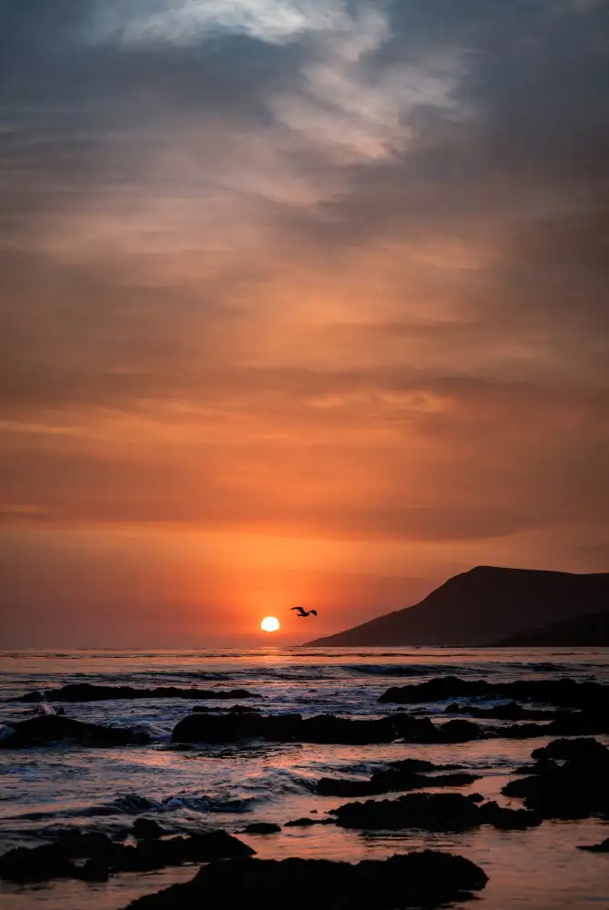 Mossholder, Tim: Orange Sunset