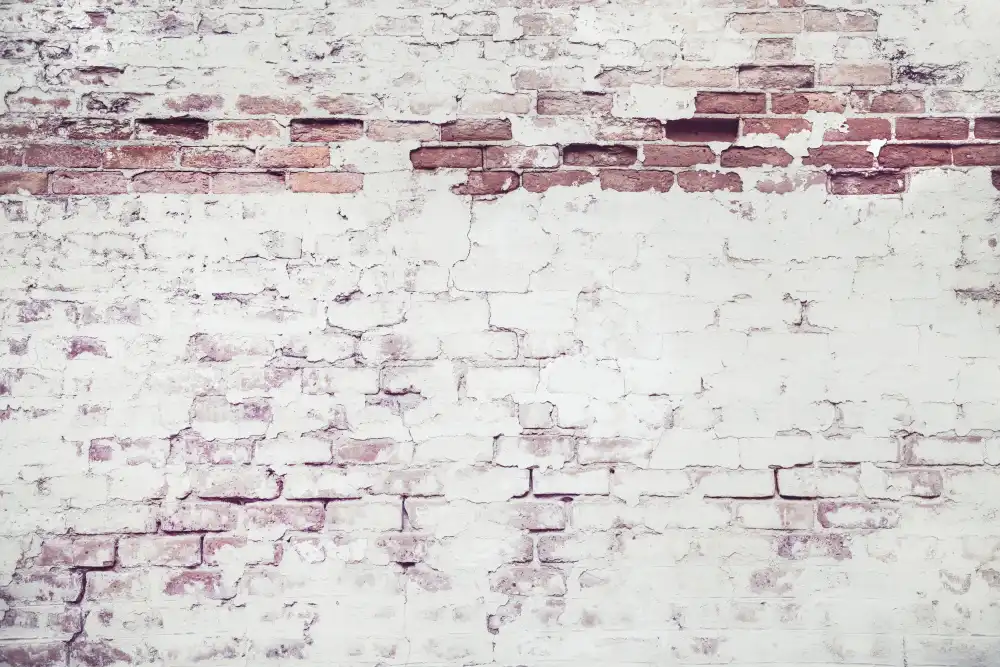 Mossholder, Tim: Light Brick Wall
