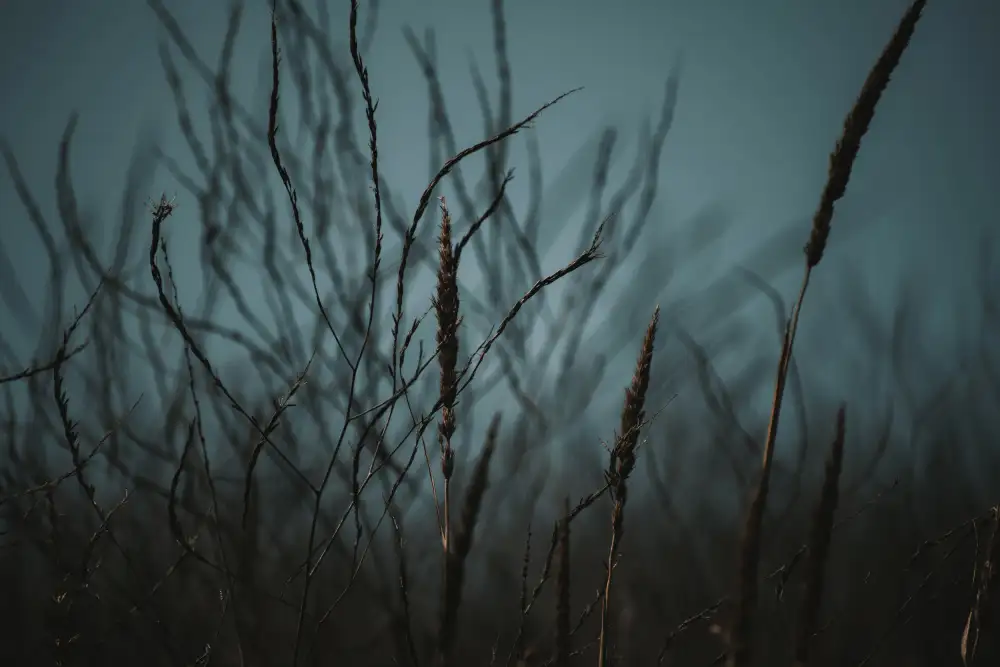 Mossholder, Tim: Dark Nature