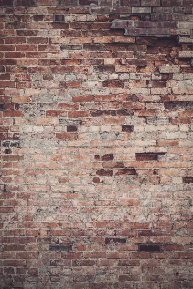 Mossholder, Tim: Bricked