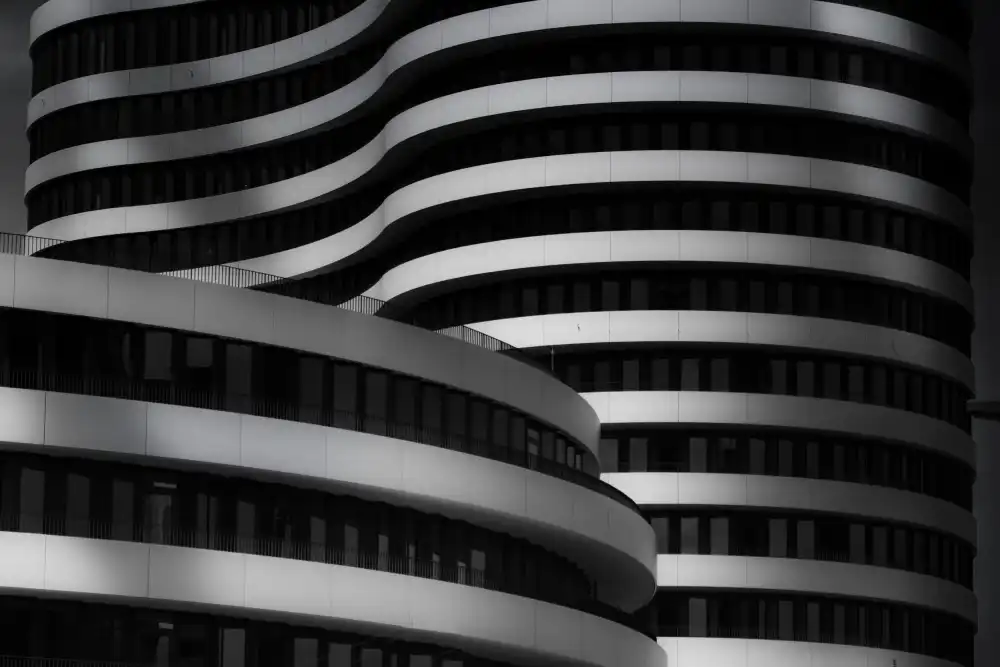 Inderst, Rainer: zebra