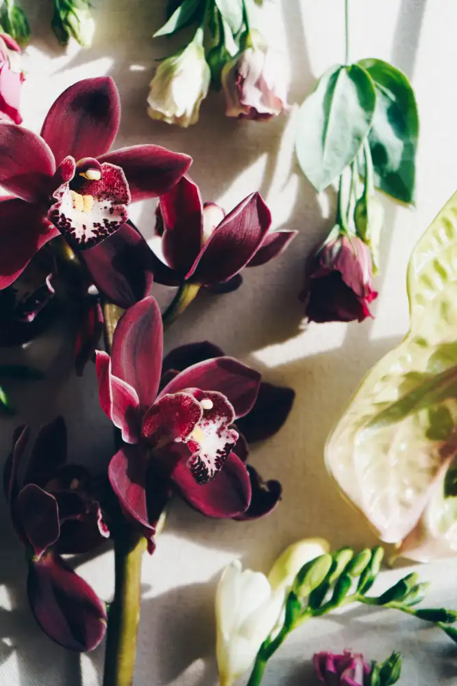 uplusmestudio: Blumenstimmung